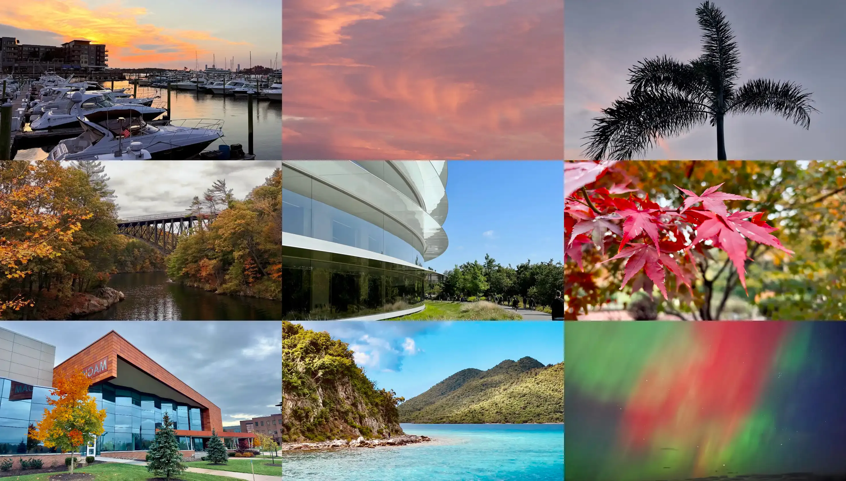 Personal Instagram Collage